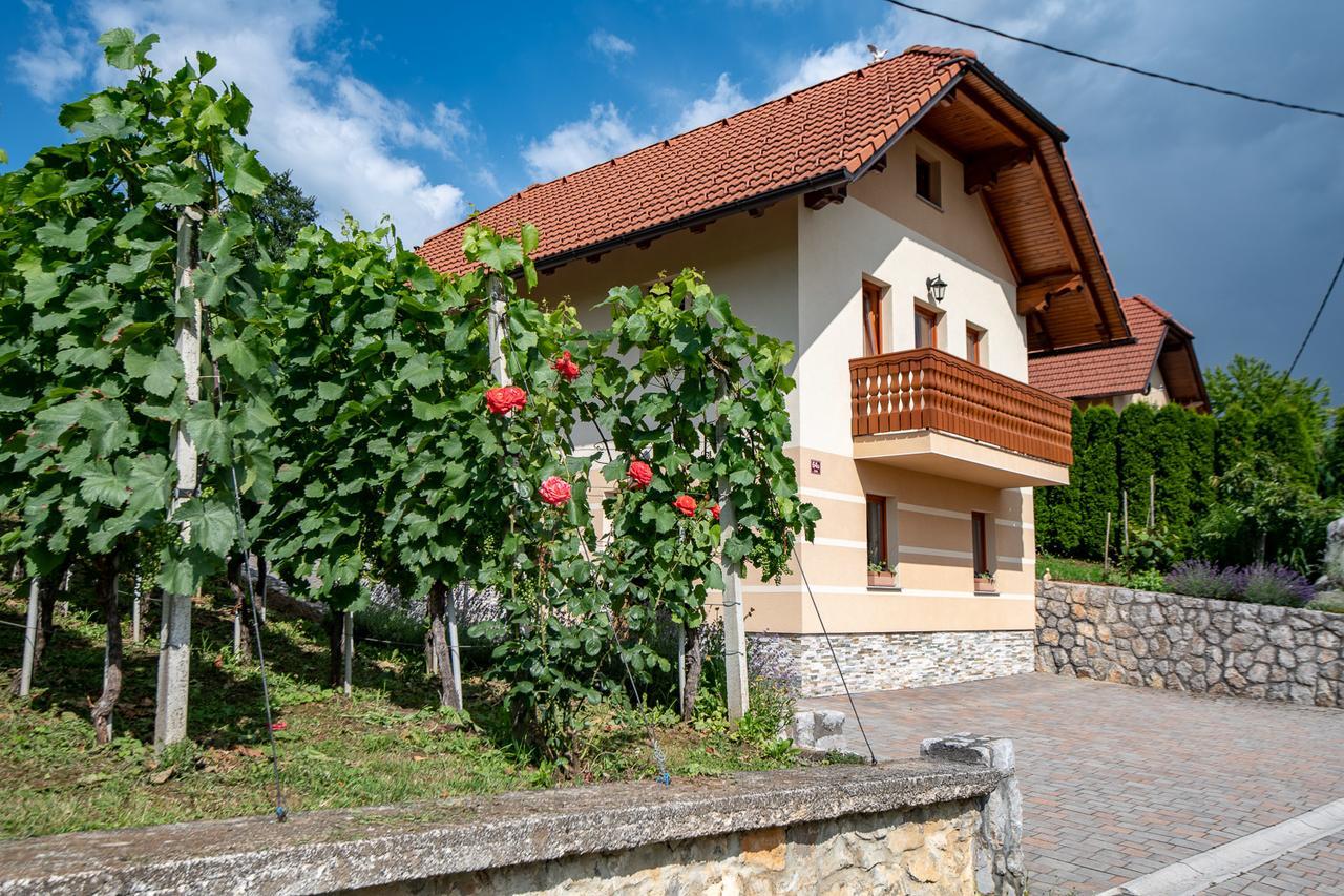 Vineyard Cottage Pod Piramido Dobrnic Extérieur photo